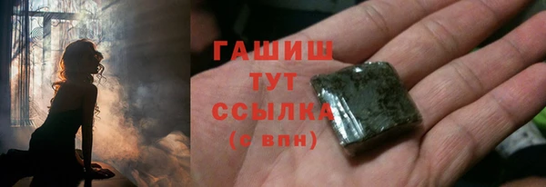 СК Алексин