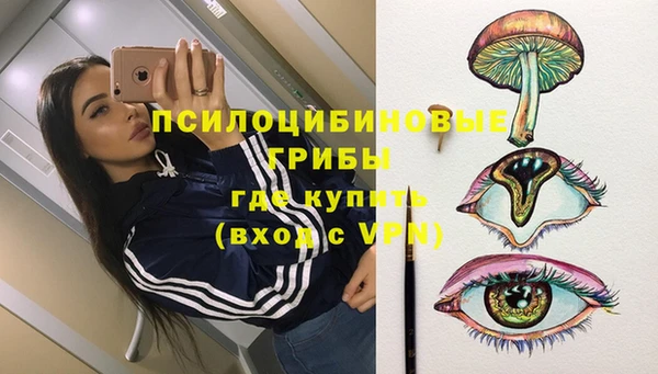 СК Алексин