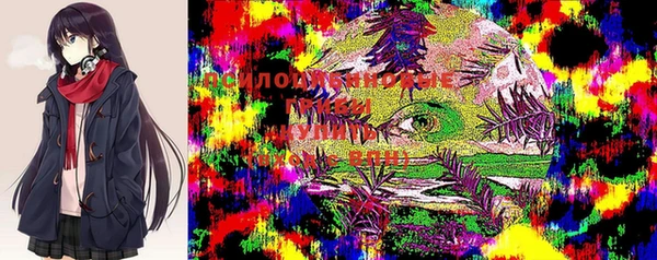гашиш Приозерск