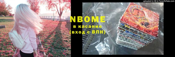СК Алексин