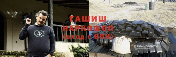 СК Алексин