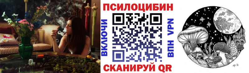 сколько стоит  Еманжелинск  Псилоцибиновые грибы мицелий 